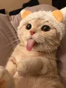 Emoji slurp_cat