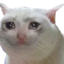 Emoji cry_cat