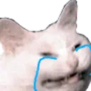Emoji emoji_39