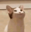 Emoji emoji_59