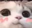 Emoji petitchat