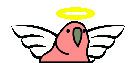 Emoji aniolpapuga