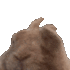 Emoji rabbitdance