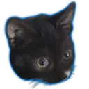 Emoji Quenga