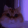 Emoji 59_RaveCat5