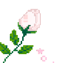 Emoji 4642rosewhite