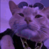 Emoji 59_RaveCat6