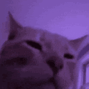 Emoji 59_RaveCat7