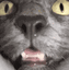 Emoji 59_snif