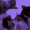 Emoji 59_RaveCat8