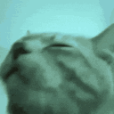 Emoji 59_RaveCat8