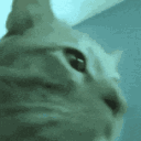 Emoji 59_RaveCat0