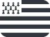 Emoji flag_bzh