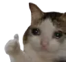 Emoji Yeeesssssss