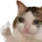 Emoji KittyOk