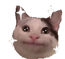 Emoji 1632sparklecat