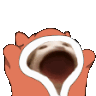 Emoji 5411gatoloco