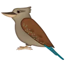 Emoji kookaburra
