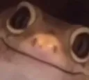 Emoji frog