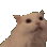 Emoji 1CatScream