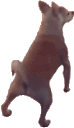 Emoji EW_dogtwerk