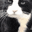 Emoji catlick