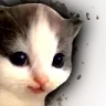 Emoji MIAOU