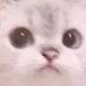Emoji MH