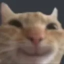 Emoji catsmile