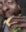 Emoji EKI_eating_ur_fat_ass