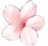 Emoji flower_sakura_2