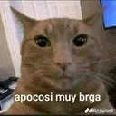 Emoji muyvrg