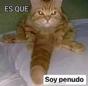 Emoji penudo