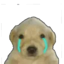 Emoji emoji_71