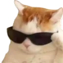 Emoji emoji_33