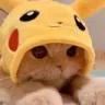 Emoji cat_pika