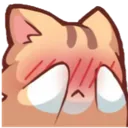 Emoji Shy