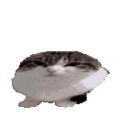 Emoji uheartn