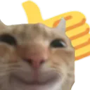 Emoji y_I_like_it
