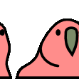 Emoji parrot1