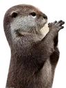 Emoji loutre