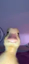 Emoji emoji_8