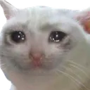 Emoji Sad_Cat
