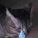 Emoji CatSad