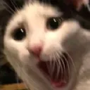 Emoji emoji_73