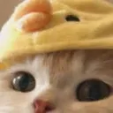 Emoji cathat