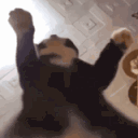 Emoji zcatzook