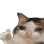 Emoji SM_OkayCat