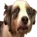 Emoji 6_notagain