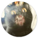 Emoji 60_Cat1